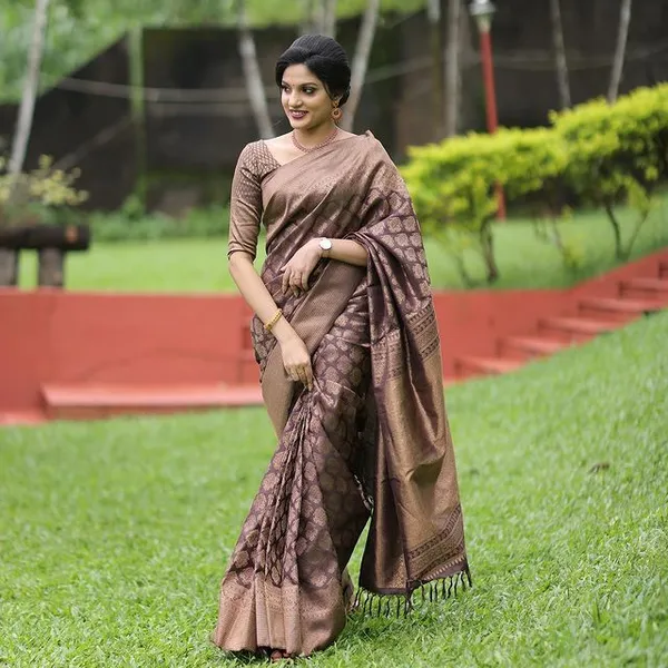 BROWN_KANJIVARAM_SILK__SAREE